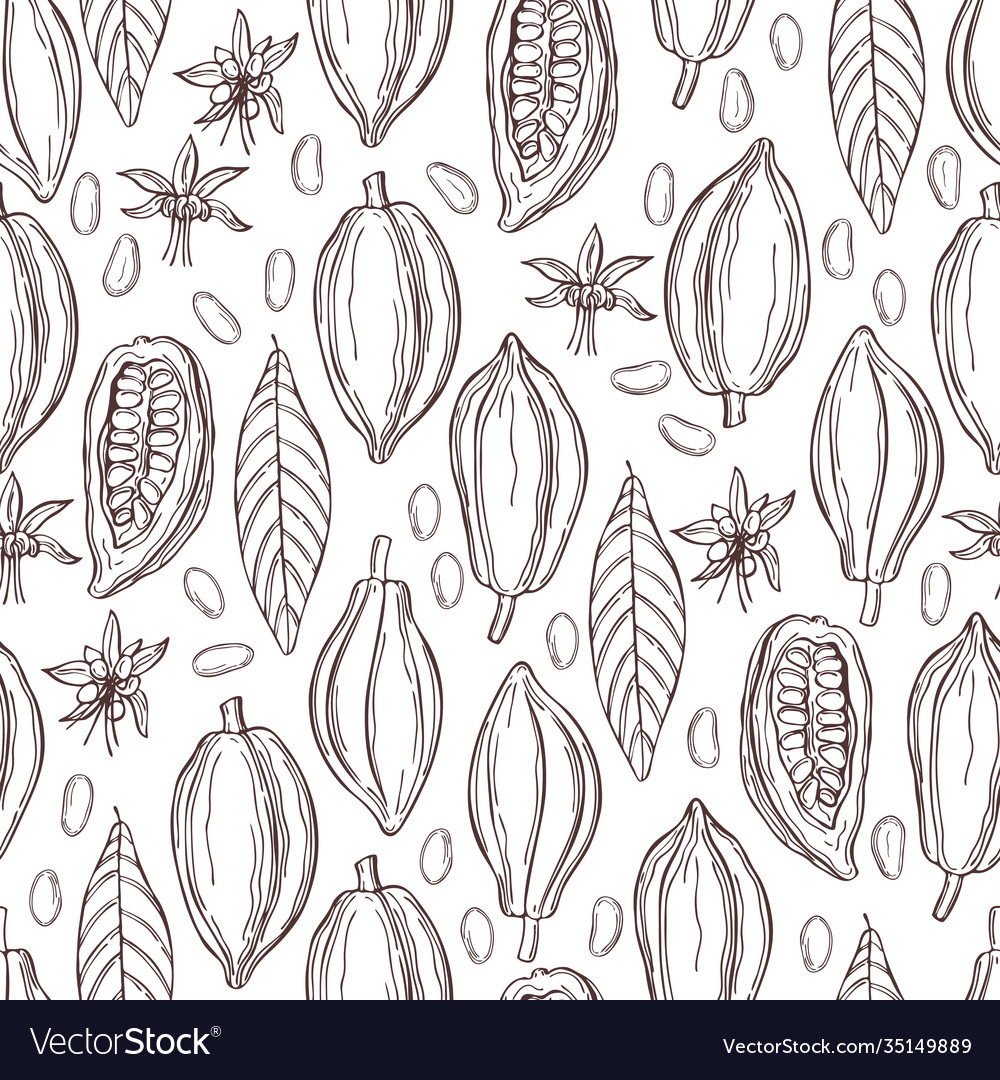 Cocoa bean pattern vector image Cocoa bean pattern
