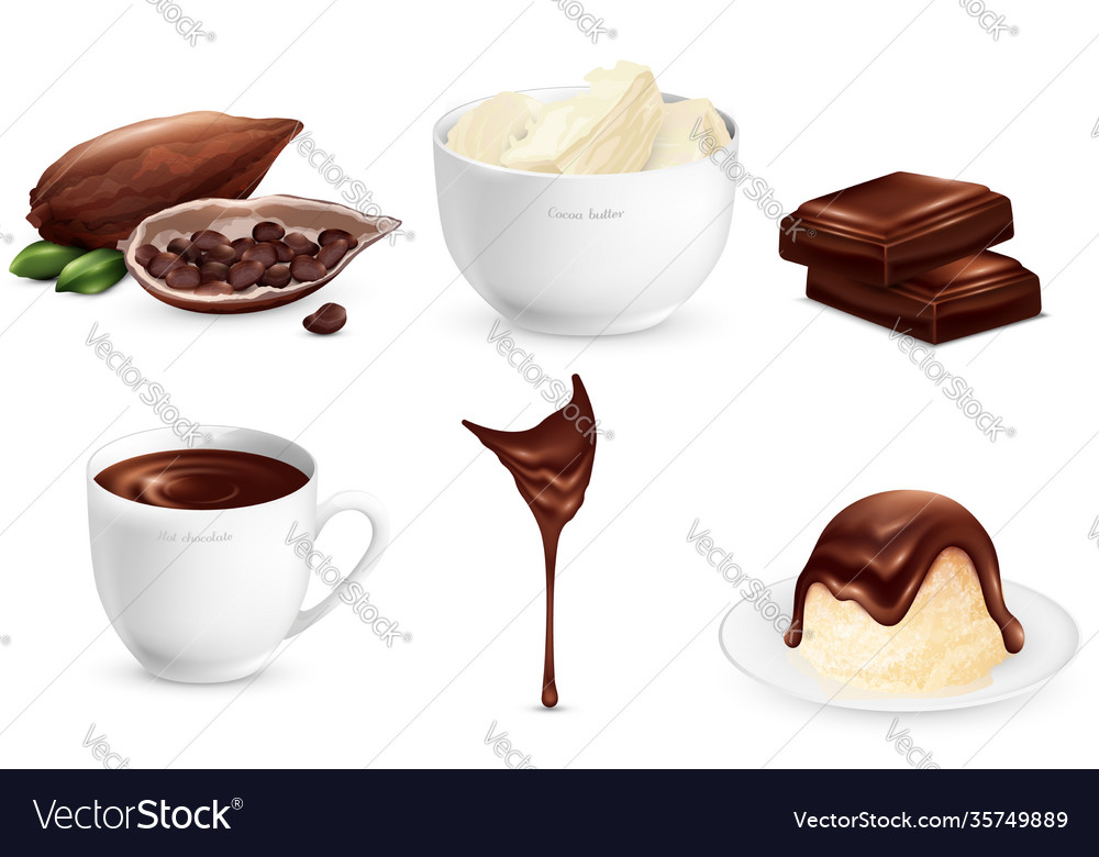 Cocoa products set vector image Cocoa products set