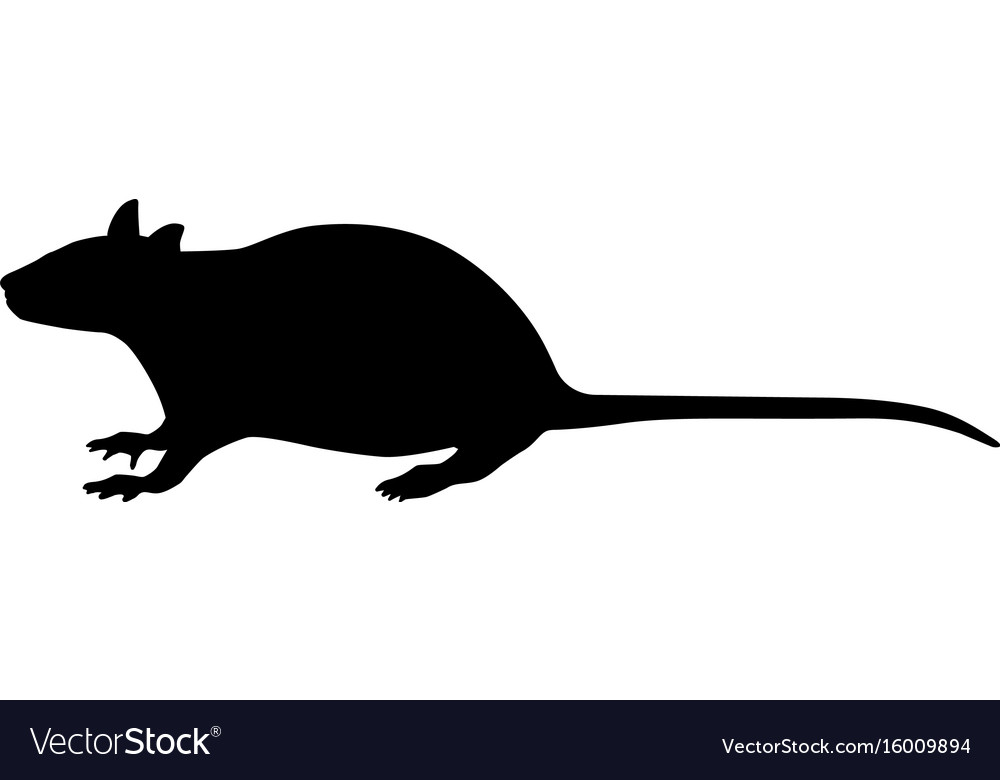 Black Rat Silhouette