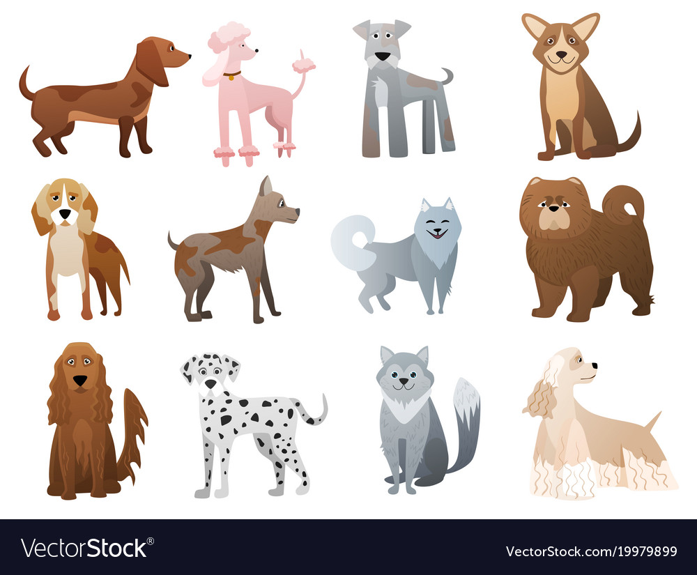 Funny and cute cartoon dogs and puppy pet Vector Image