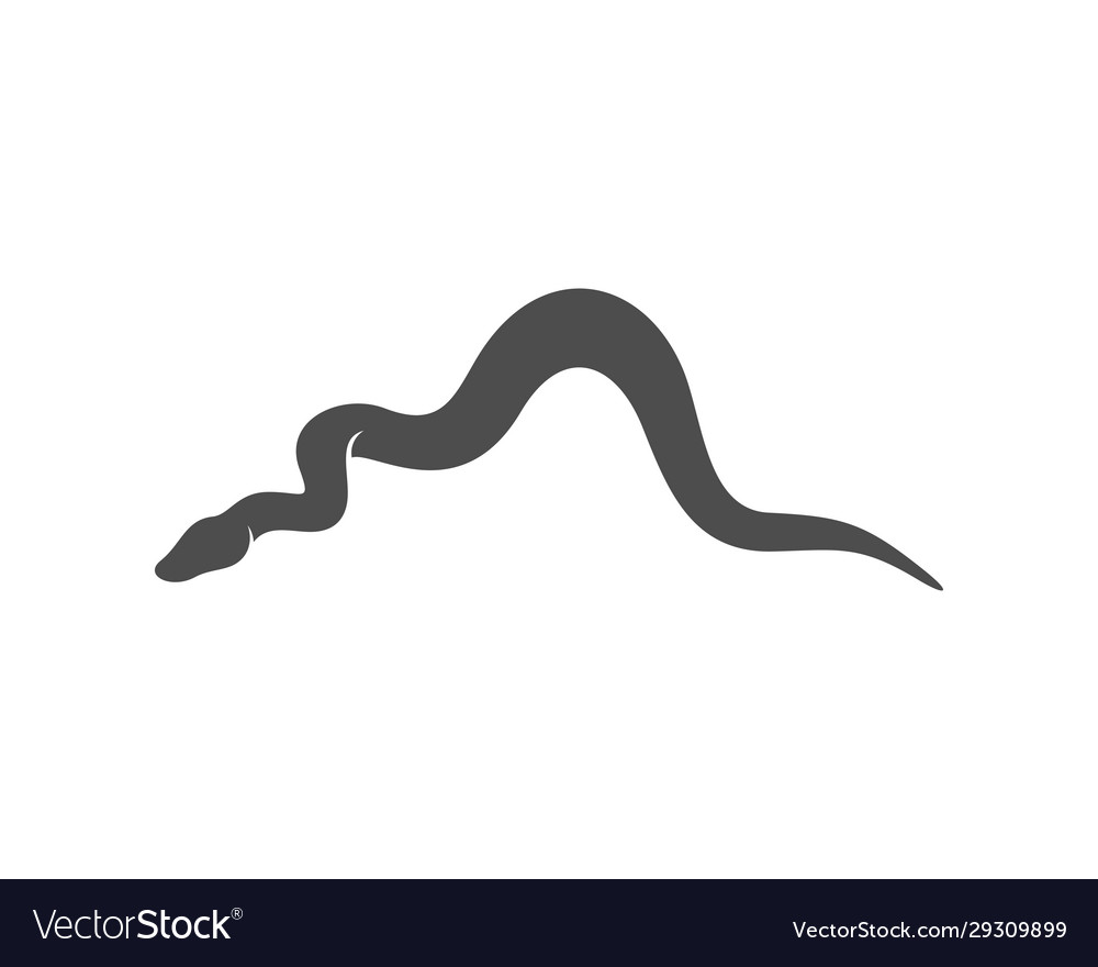 Python snake logo animal graphic design Royalty Free Vector