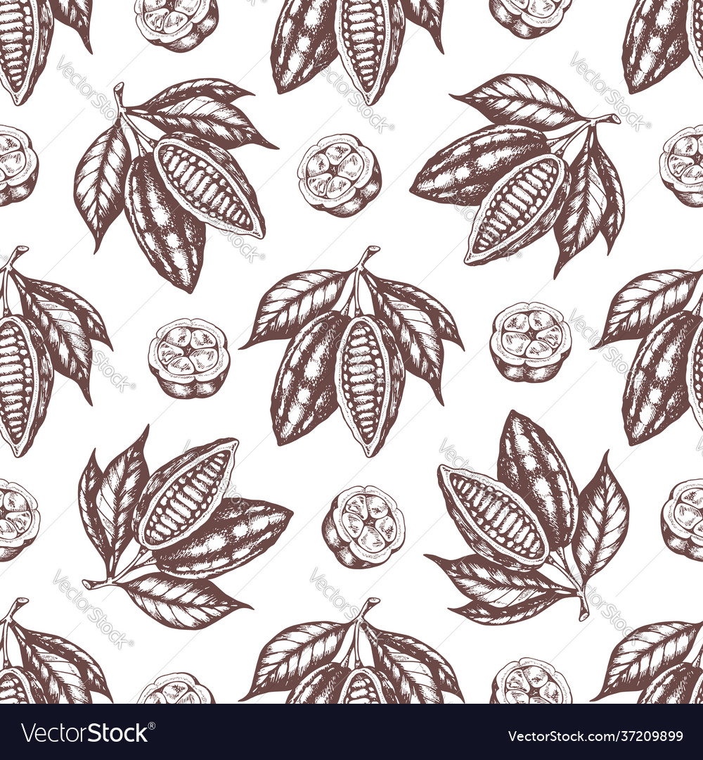 Seamless pattern with cocoa beans