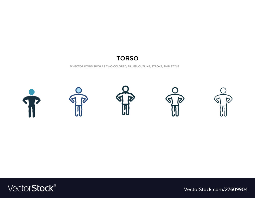 Torso icon in different style two colored