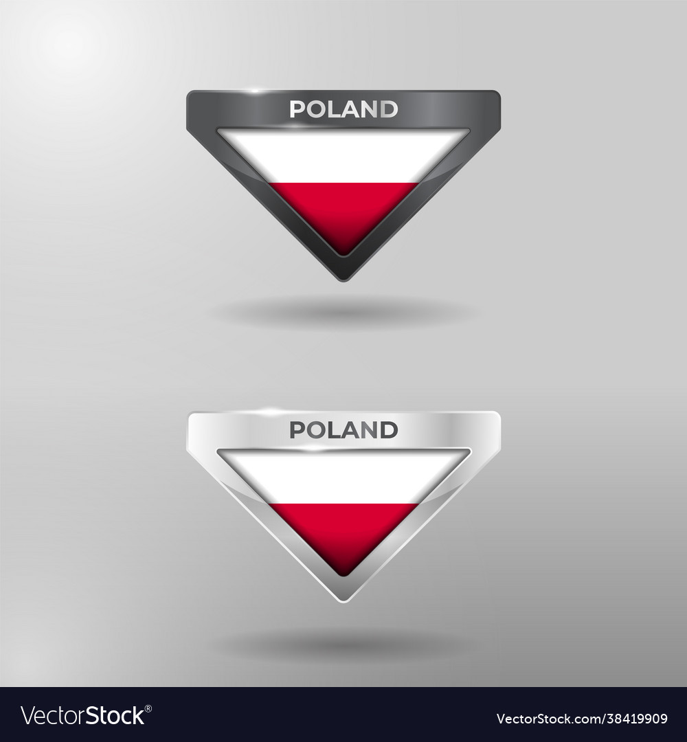 3d label tag and location pointer flag nation vector image 3d label tag and location pointer flag nation