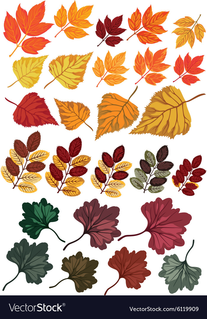 Autumn leaves set