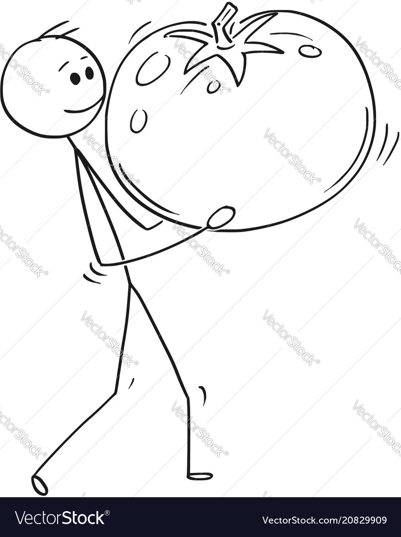 Cartoon of man carrying big ripe tomato fruit Vector Image Cartoon of man carrying big ripe tomato fruit Vector Image
