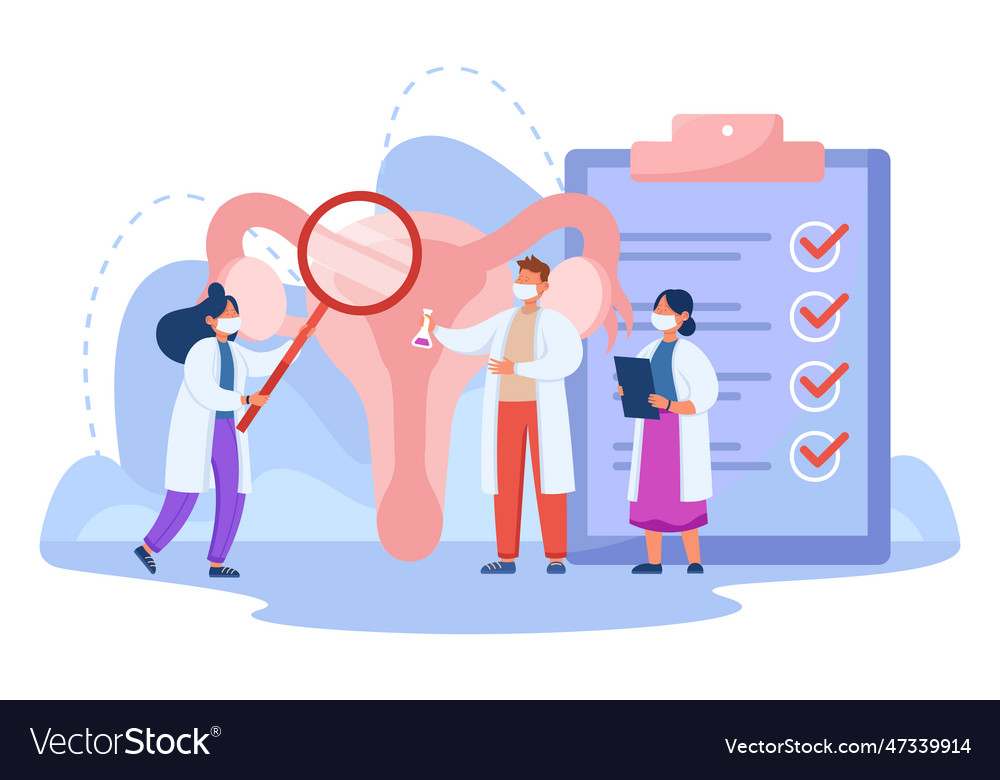 Gynecologist with magnifier examining uterus Vector Image