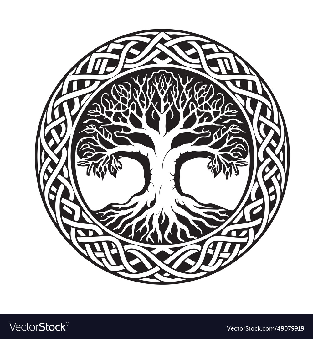 Celtic Tree Of Life Decorative Ornament Royalty Free Vector