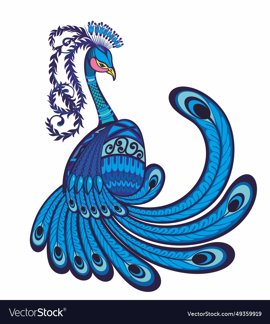 Peacock bird Royalty Free Vector Image - VectorStock image.