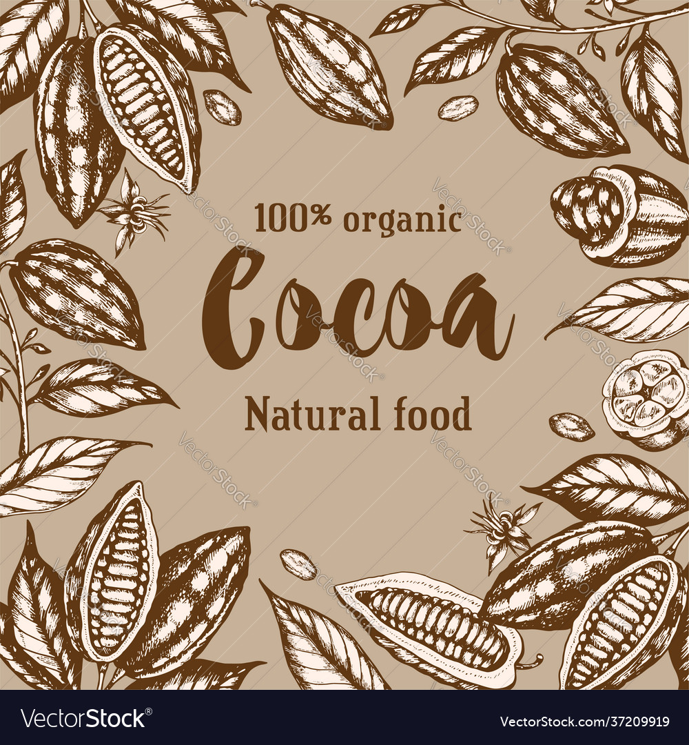 Vintage hand drawn frame with cocoa beans Vector Image