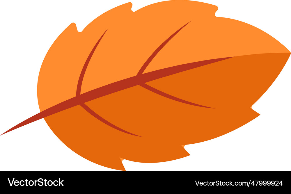 Autumn tree leaf Royalty Free Vector Image - VectorStock