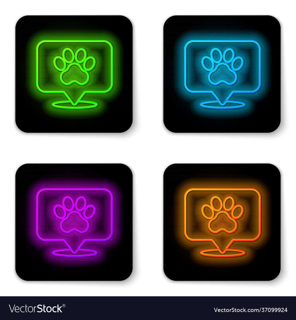 Glowing neon line map pointer with veterinary
