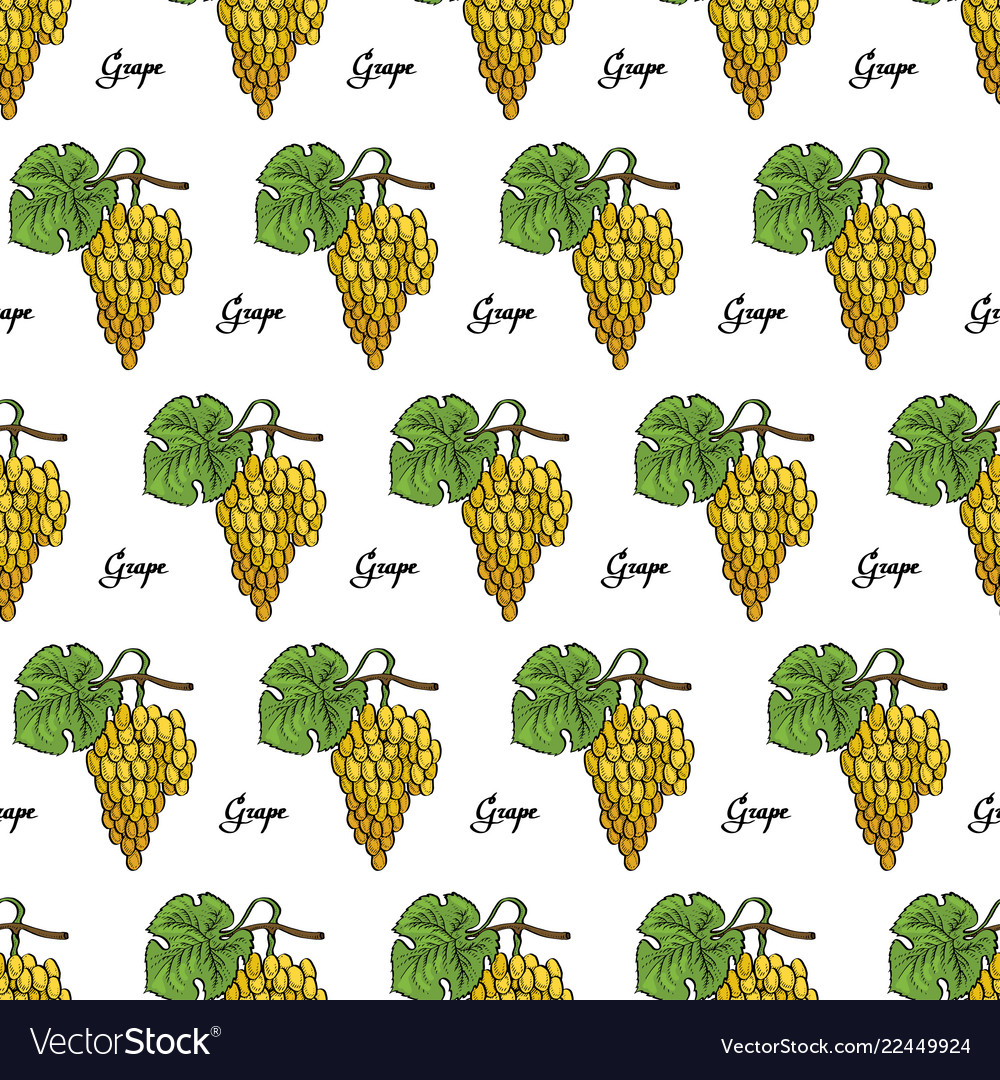 Grape seamless calligraphy coloured pattern