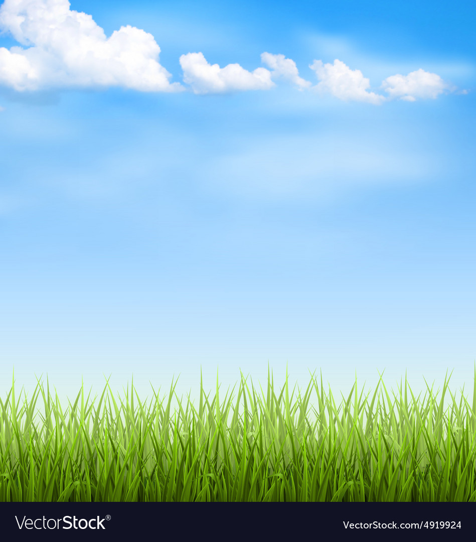 grass lawn with clouds on blue sky royalty free vector image