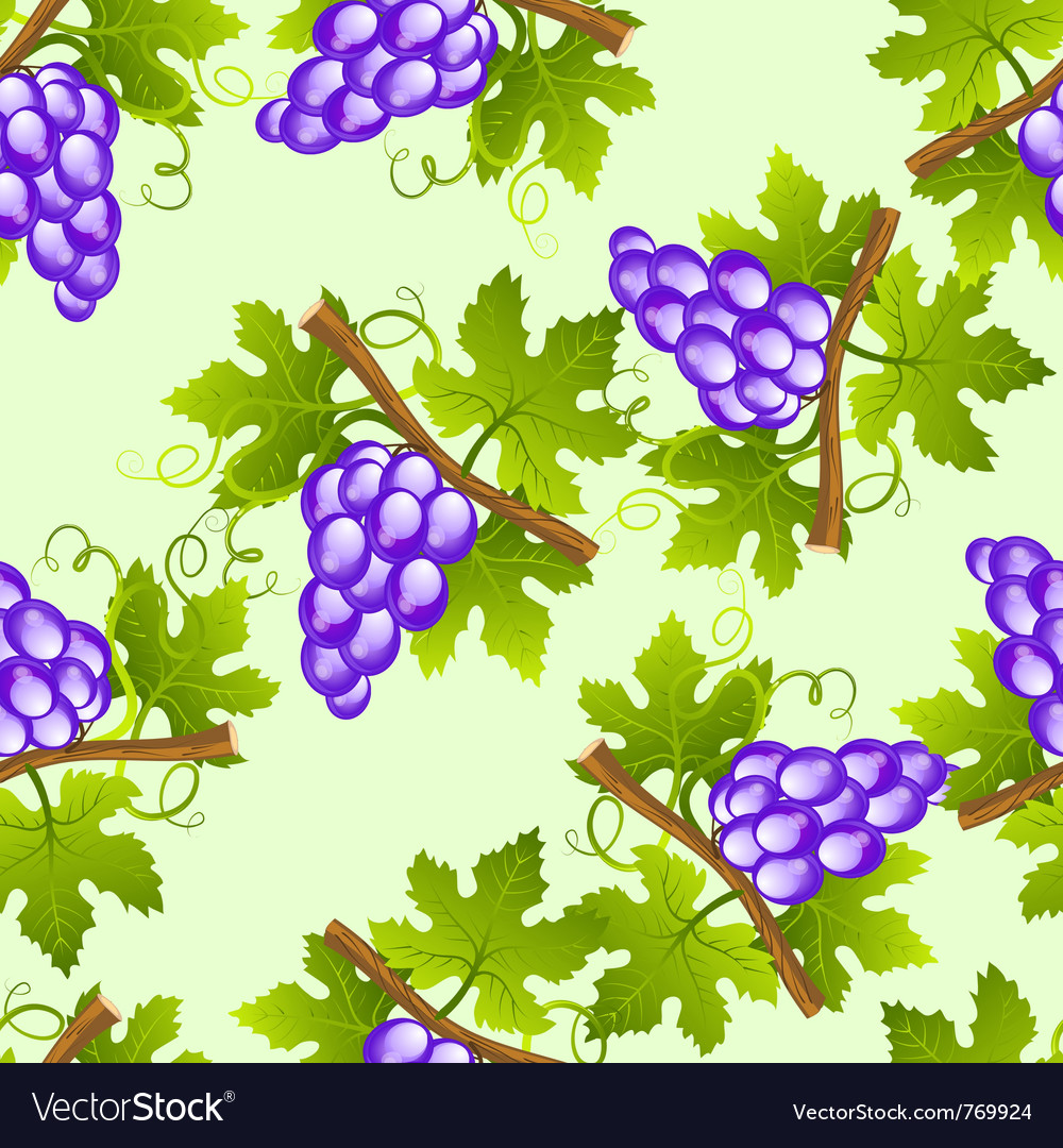 Purple Grape Vine Pattern