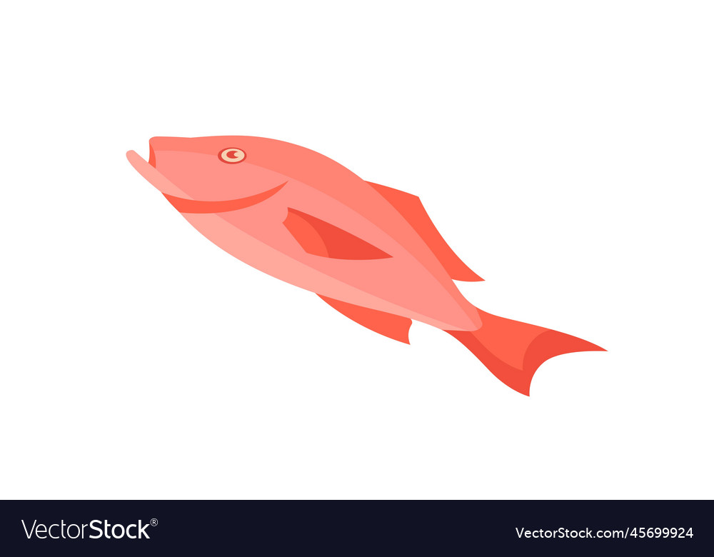 Red fish concept Royalty Free Vector Image - VectorStock