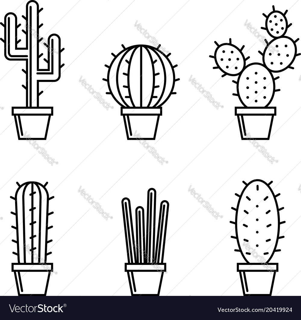 Set of cactuse Royalty Free Vector Image - VectorStock