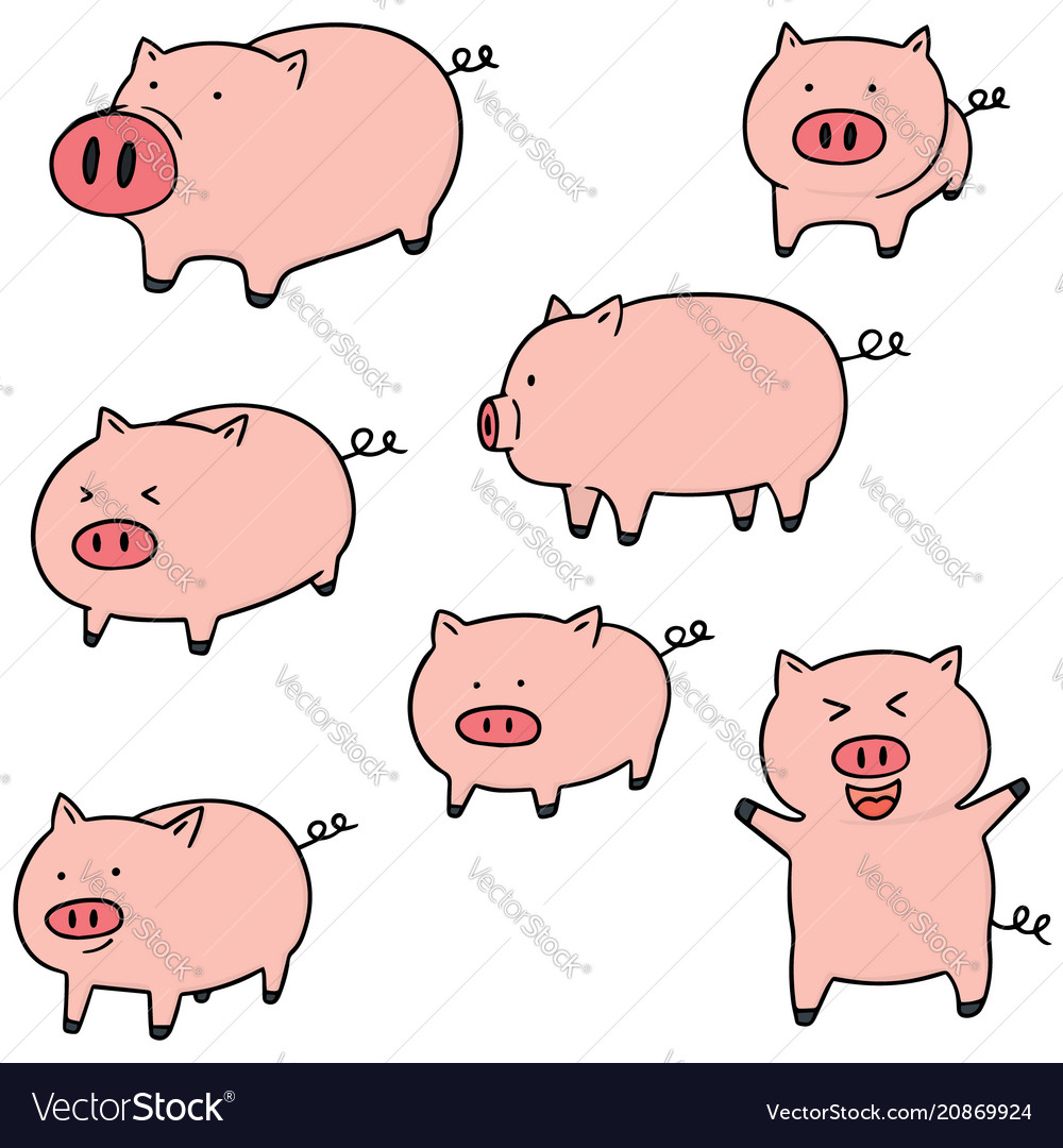 Set of pig