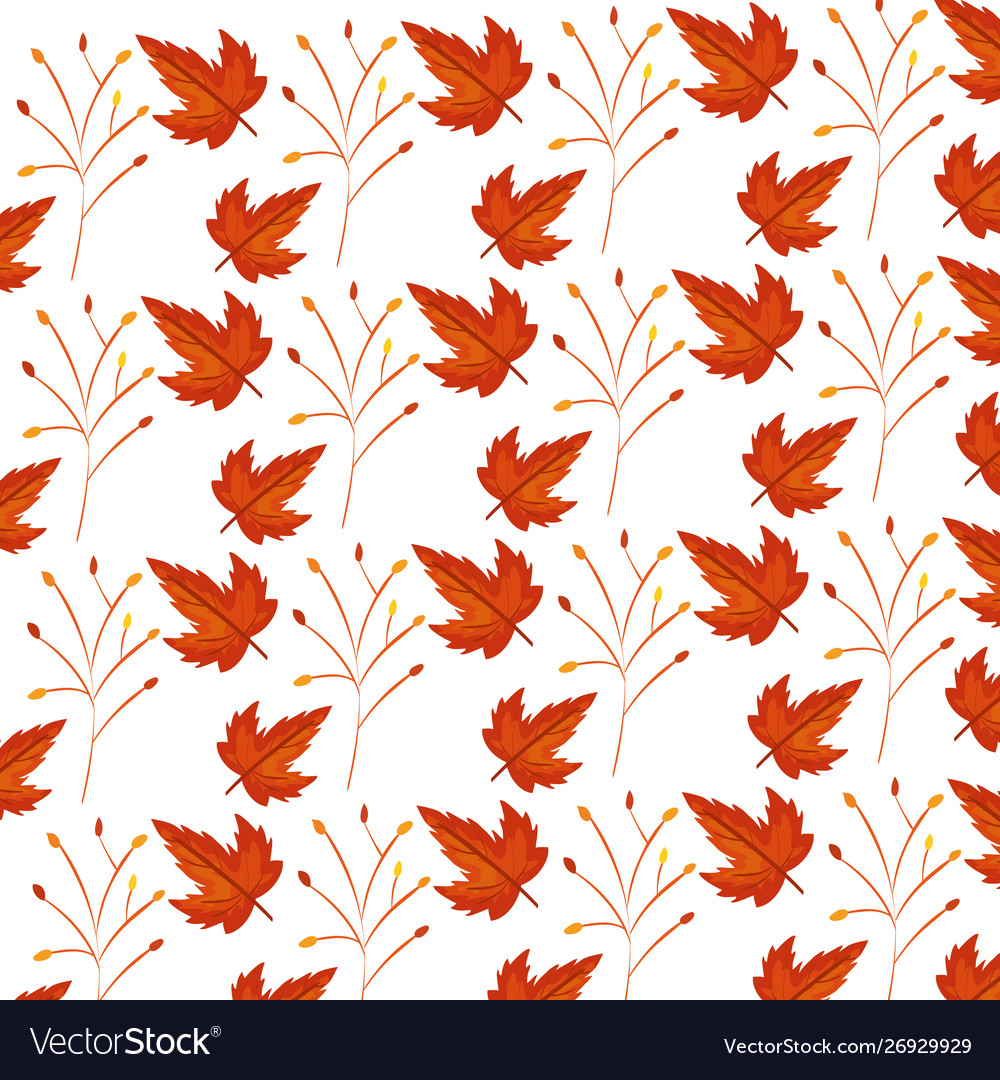 Autumn branch and dry maple leafs pattern vector image Autumn branch and dry maple leafs pattern