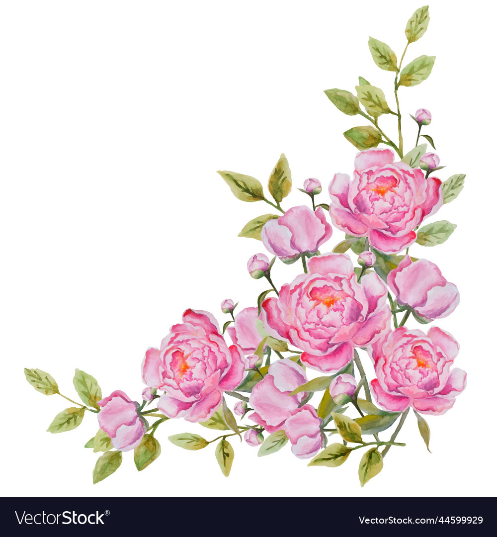 Floral bouquet of watercolor peonies Royalty Free Vector