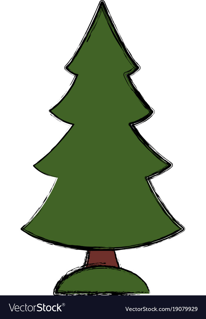 Tree pine isolated