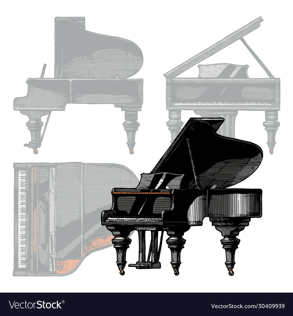 Grand piano Royalty Free Vector Image - VectorStock