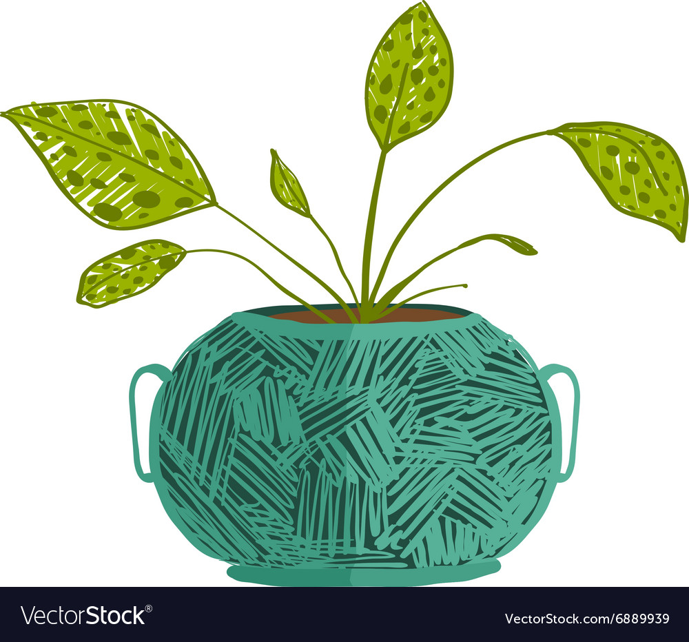 Green indoor leafy plant in pot Royalty Free Vector Image