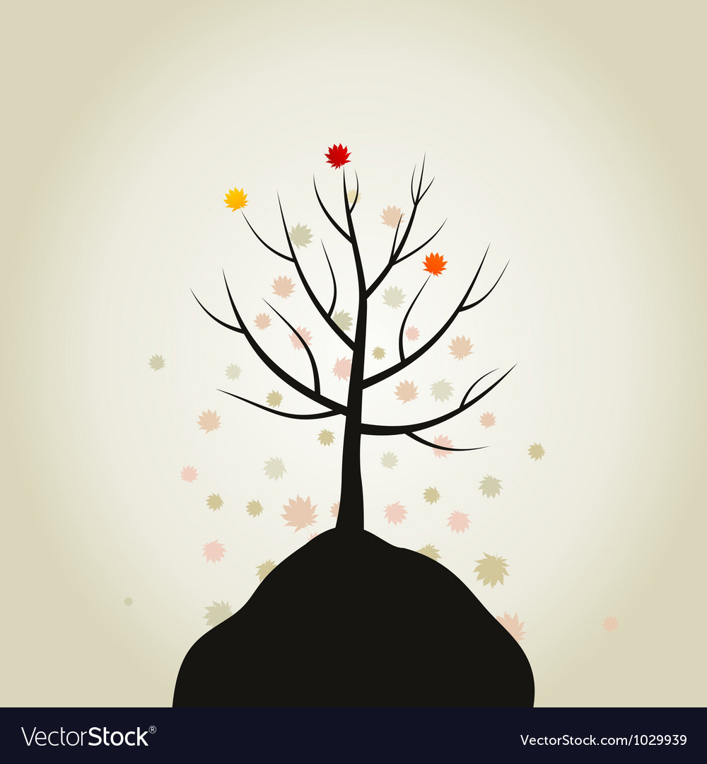 Tree autumn