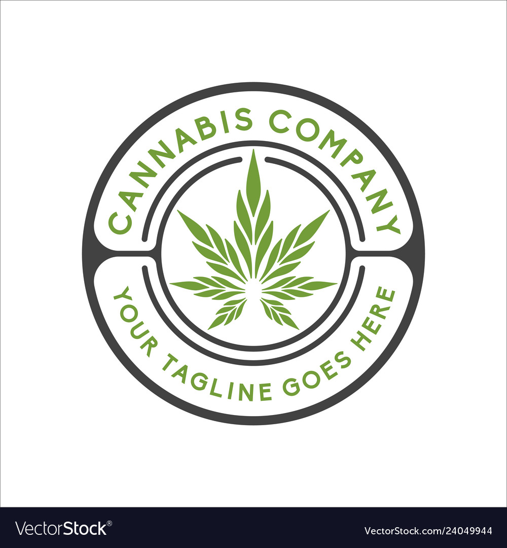 Cannabis logo cbd design Royalty Free Vector Image