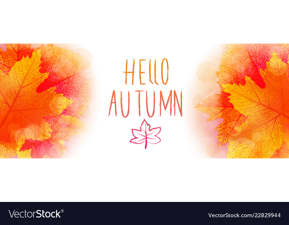 Hello autumn background