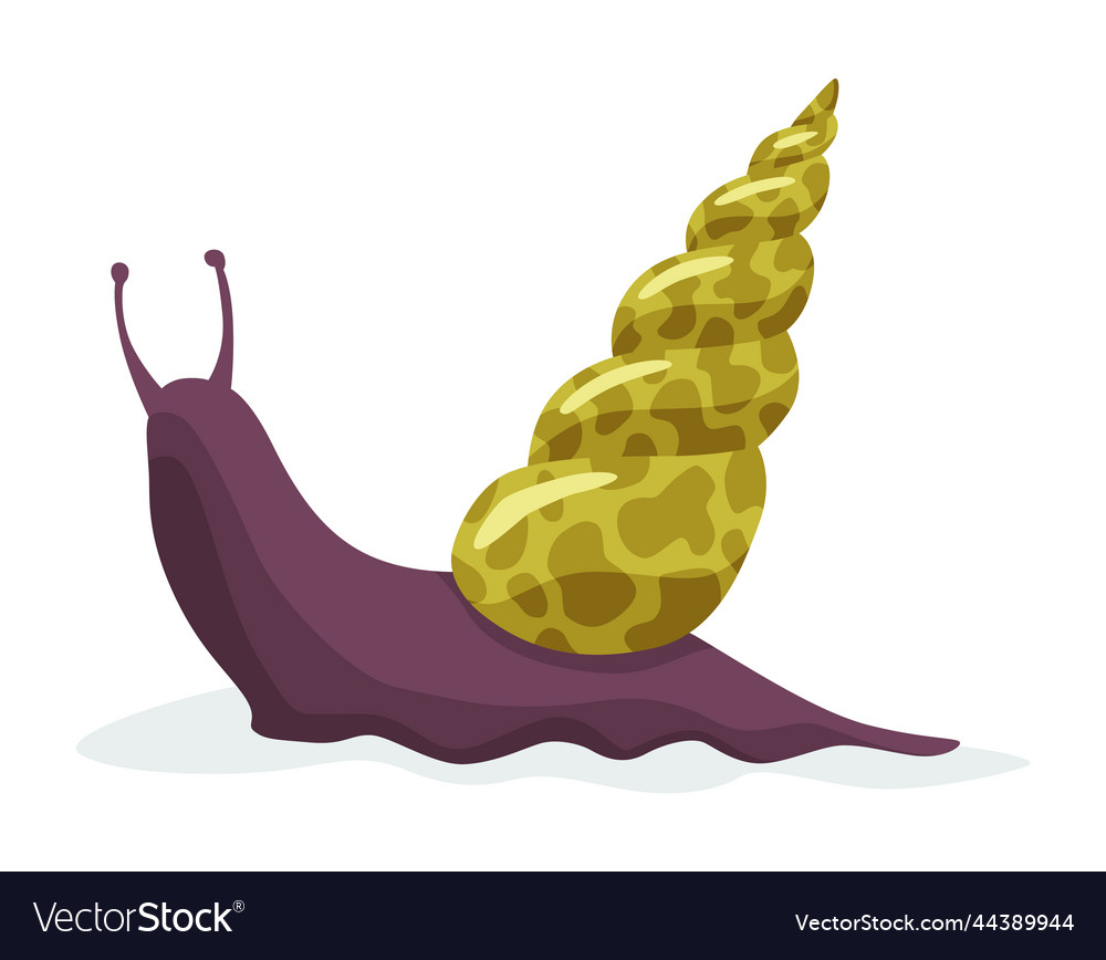 Snail crawling snailfish colour shell colourful vector image Snail crawling snailfish colour shell colourful