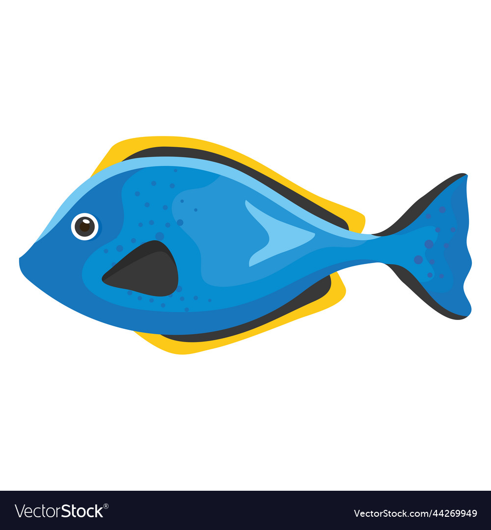 Blue fish sealife animal Royalty Free Vector Image