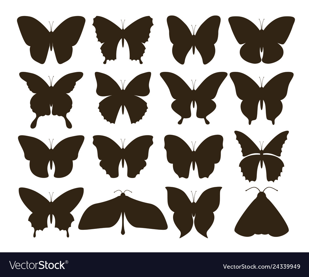 Download Silhouette butterflies simple collection of hand Vector Image