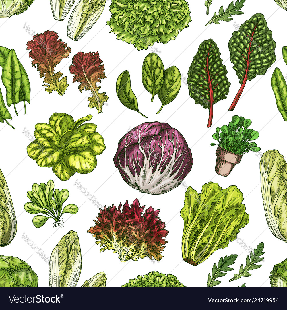 Salad leaves and herbs seamless pattern background