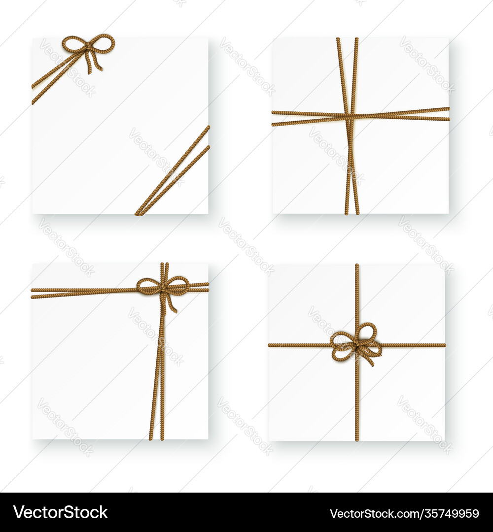 Box rope top view Royalty Free Vector Image - VectorStock