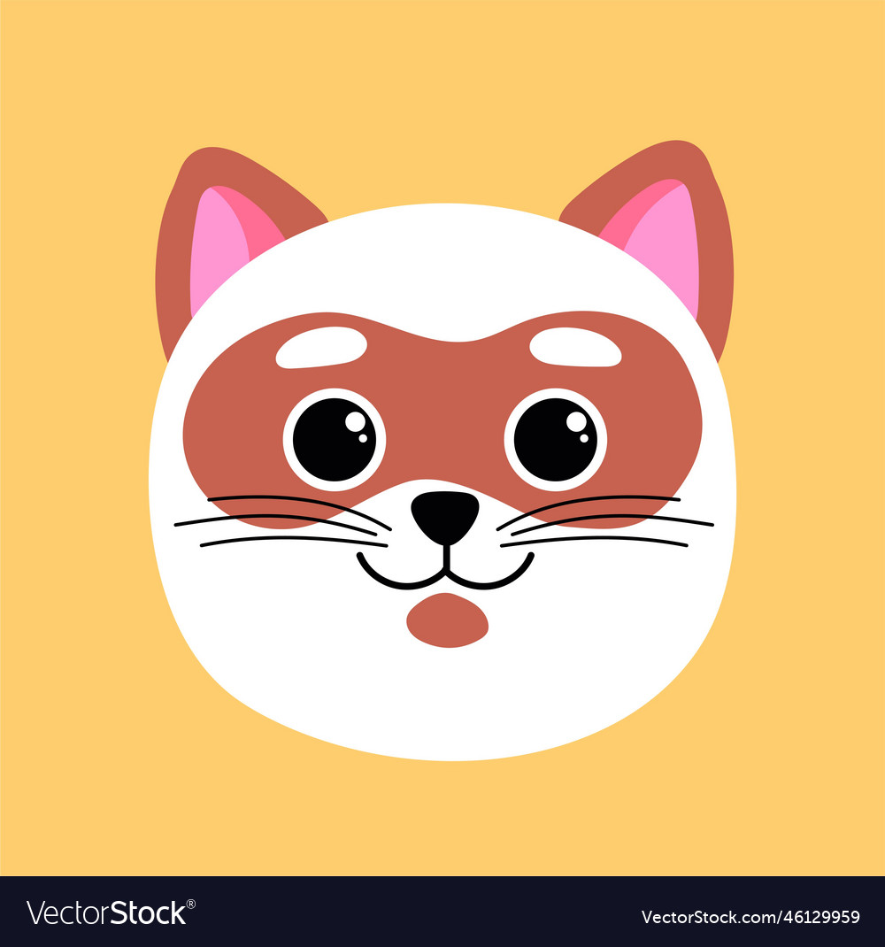 Orange and white breed cat