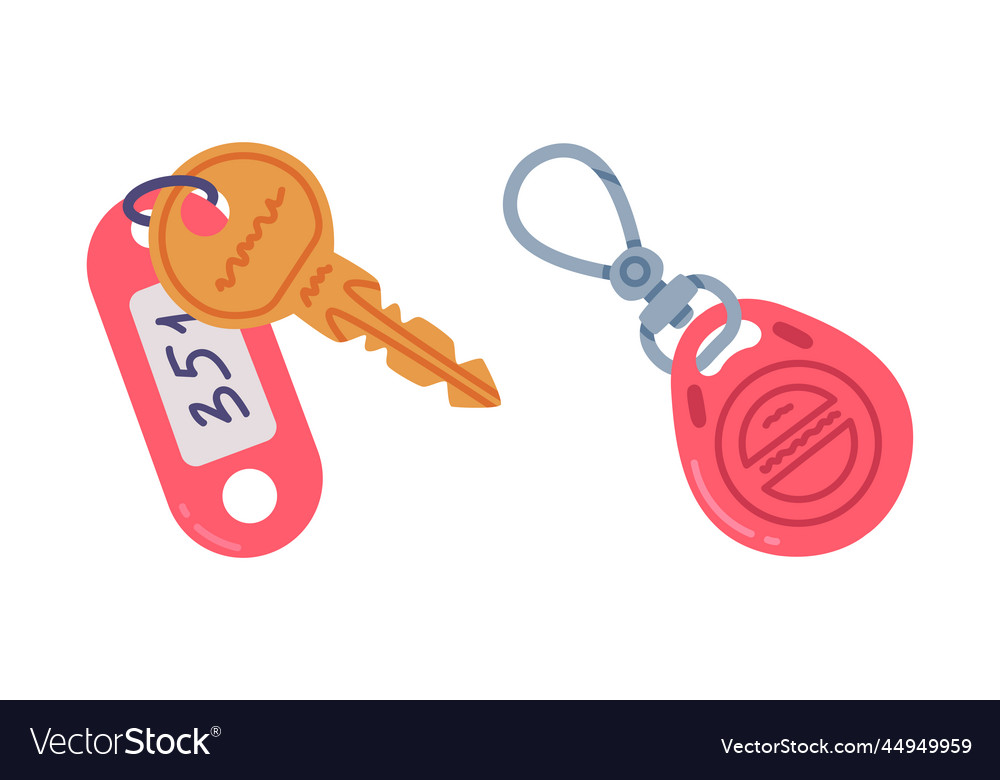 Trinket with key hanging keychain or keyring vector image Trinket with key hanging keychain or keyring