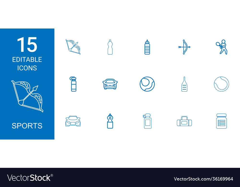 Sport Icons vector image Sport Icons