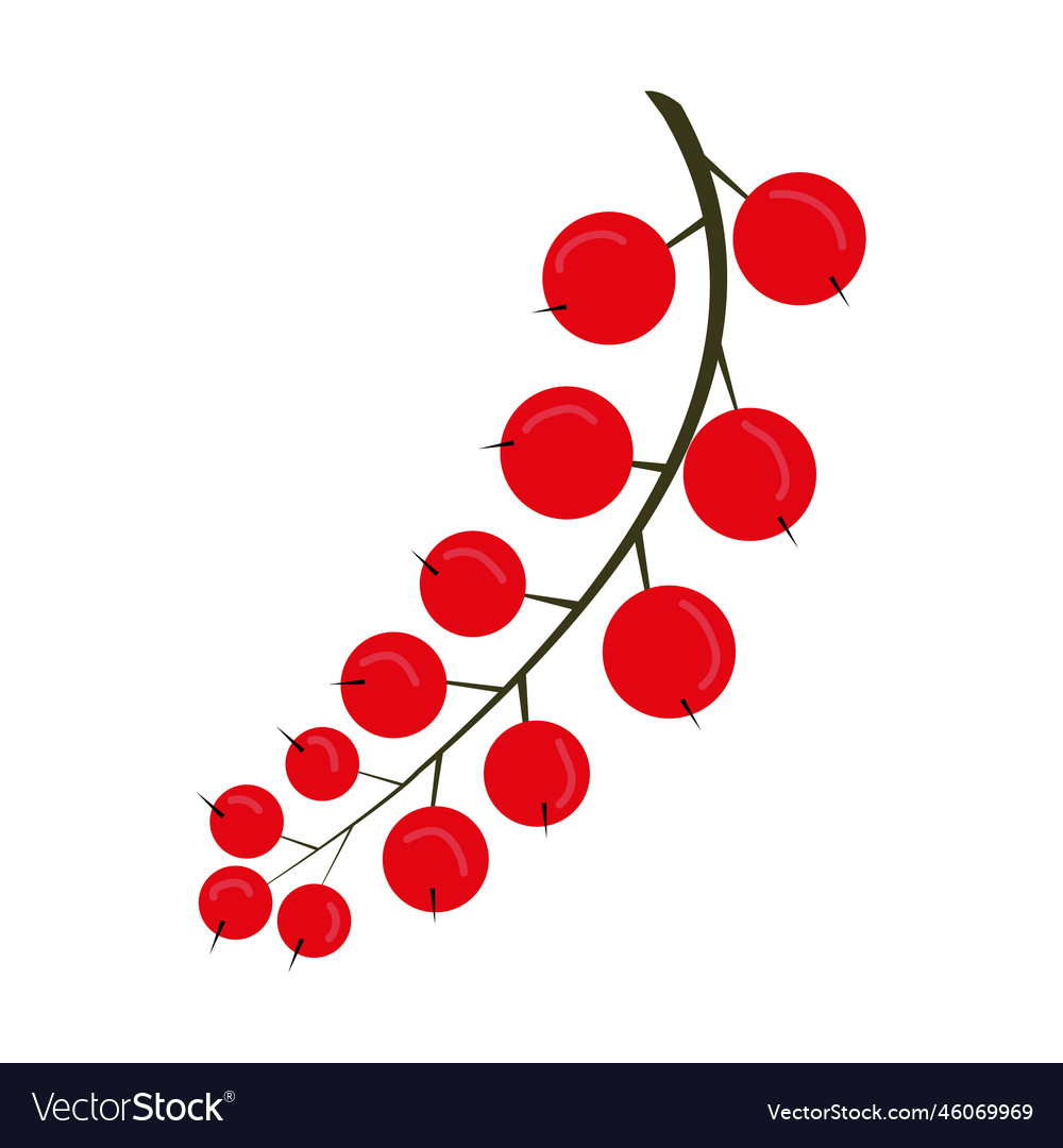 Currant