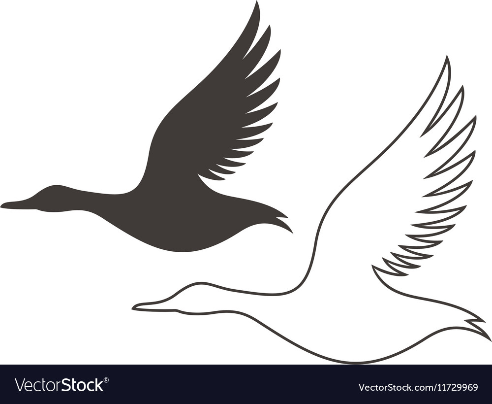 Flying Duck Outline