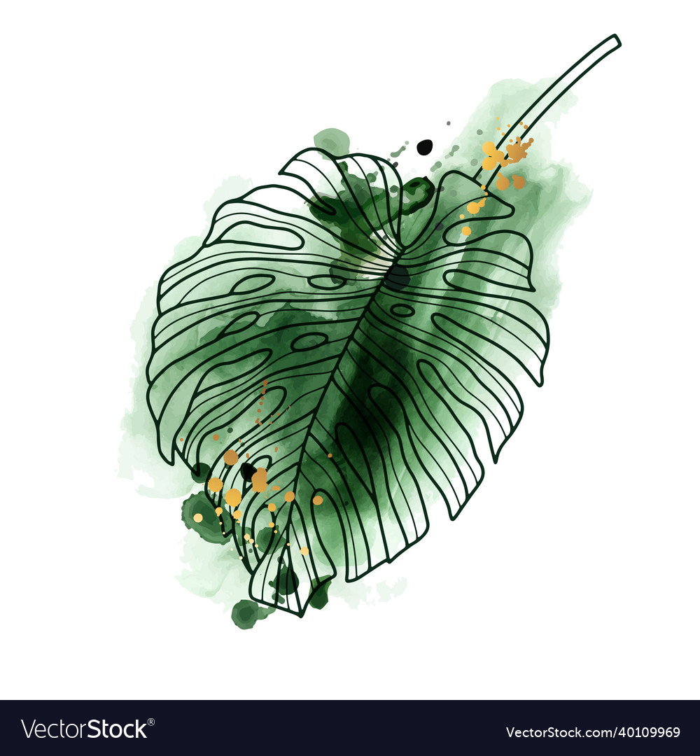 Elegant watercolor exotic composition monstera vector image Elegant watercolor exotic composition monstera