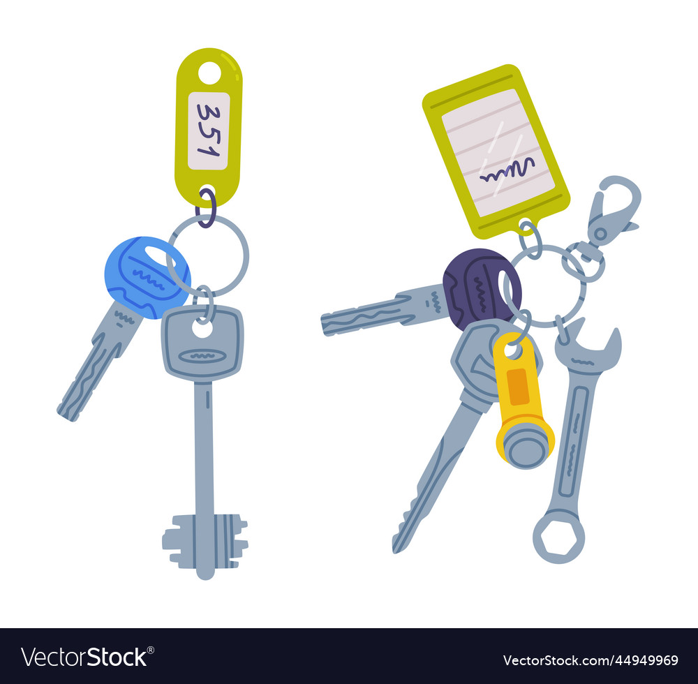 Trinket with key hanging keychain or keyring vector image Trinket with key hanging keychain or keyring
