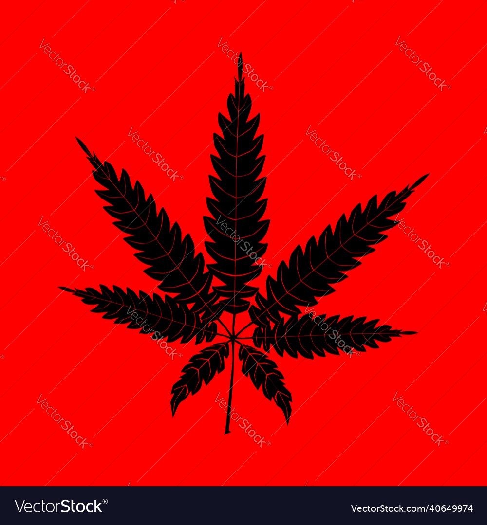 Cannabis leaf silhouette on red