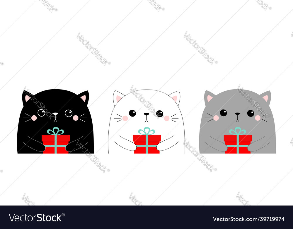 Cute cat face head set gift box kawaii animal