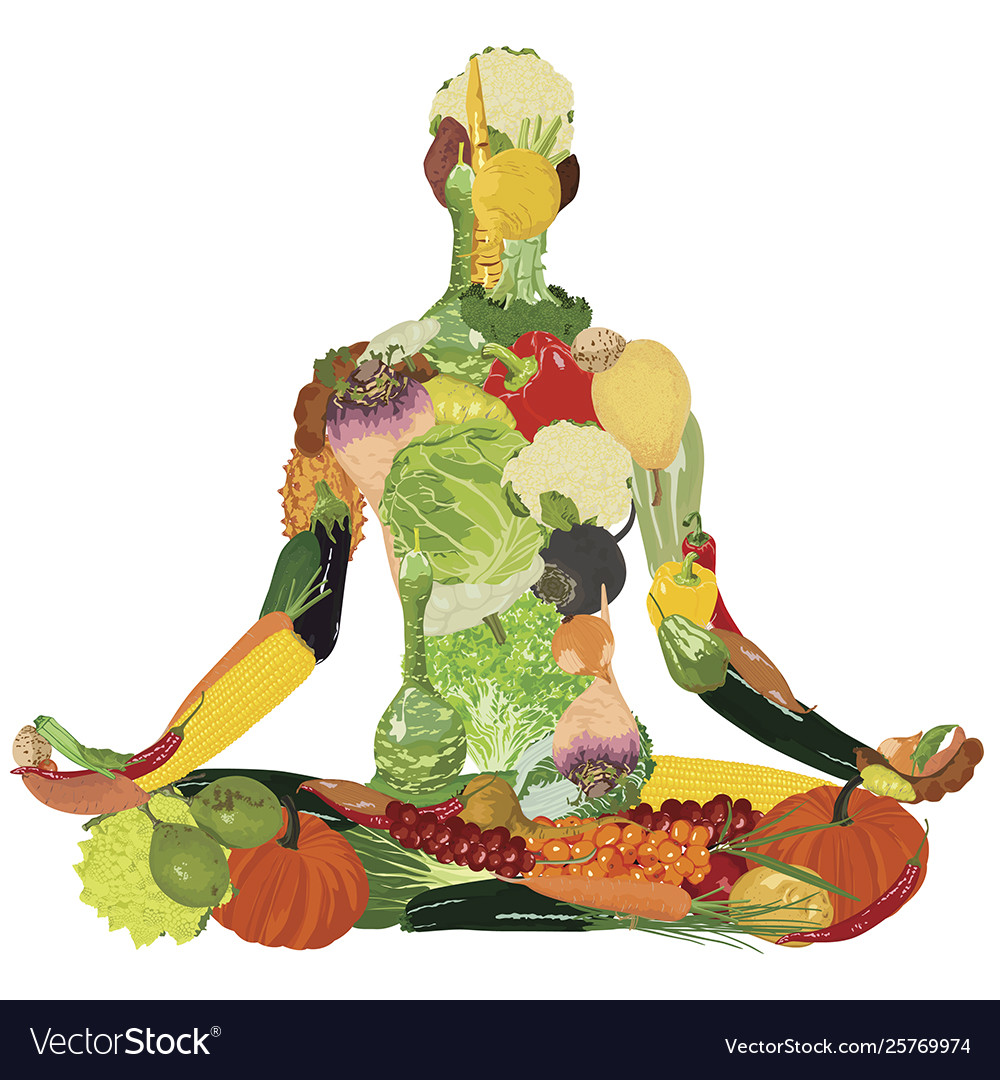 Healthy lifestyle vector image Healthy lifestyle