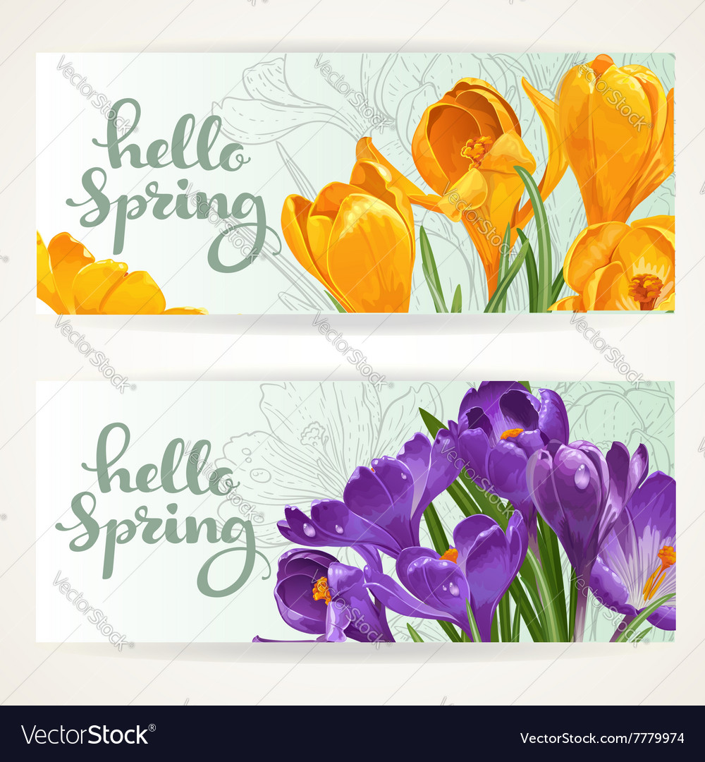 Two horizontal banners Hello spring with yellow Vector Image