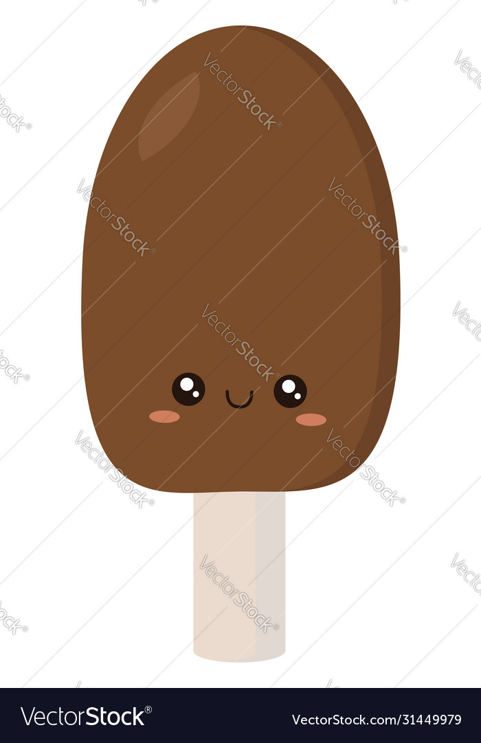 Chocolate ice cream on white background