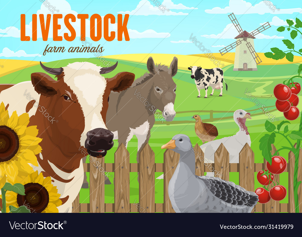 Farm animals cattle and poultry Royalty Free Vector Image Farm animals cattle and poultry Royalty Free Vector Image