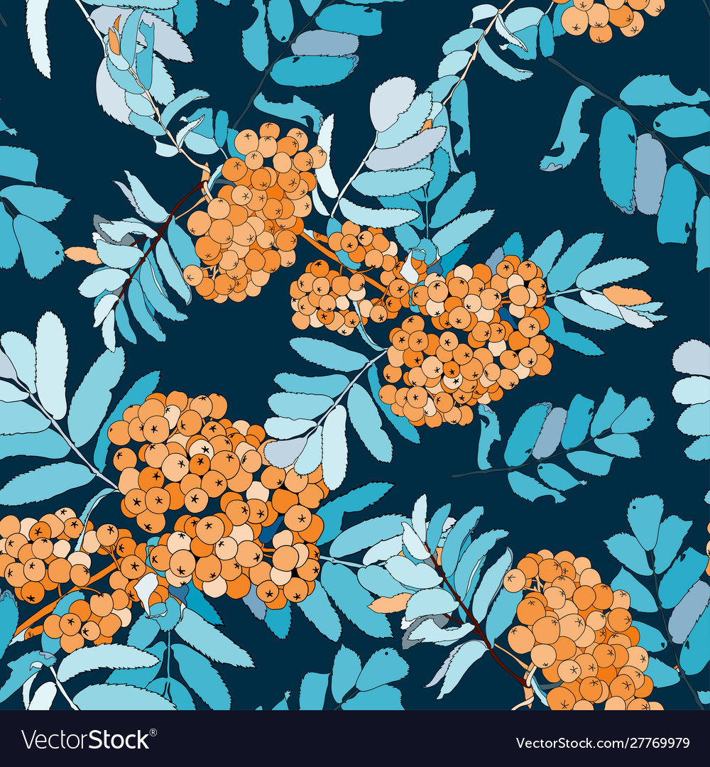 Rowan seamless pattern with orange berries vector image Rowan seamless pattern with orange berries