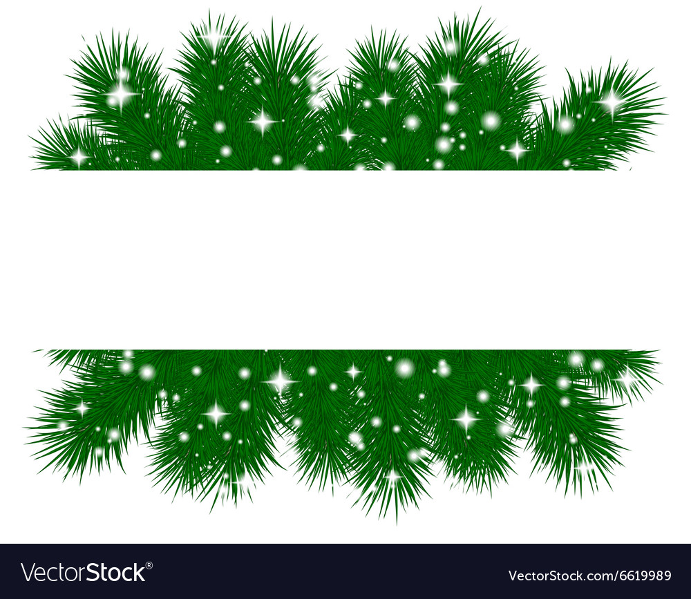 Spruce branches pattern